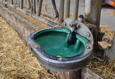 Les procédés nécessaires à la désinfection de l'eau de pluie avant l'abreuvement des animaux sont encore trop onéreux aujourd'hui.