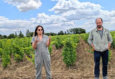 Les vins du domaine Huet sont régulièrement salués par la critique, en France et à l’étranger.