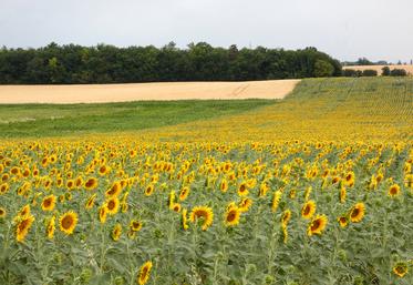 L’indice national des fermages s'établit pour 2025 à 123,06. Ainsi, il augmente de 0,42 % par rapport à l'année 2024.