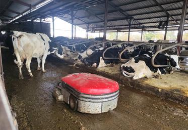 Les deux robots aspirateurs de lisier suivent les parcours enregistrés pour nettoyer plusieurs dizaines de fois par jour le bâtiment d'élevage du Gaec du Maupas. ©B.R