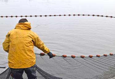 Le Cap filière aquacole 2025-2029 englobe les activités de salmoniculture, d’aquaponie, d’algoculture et autres systèmes de production émergents comme la crevette d’eau douce. ©B.R