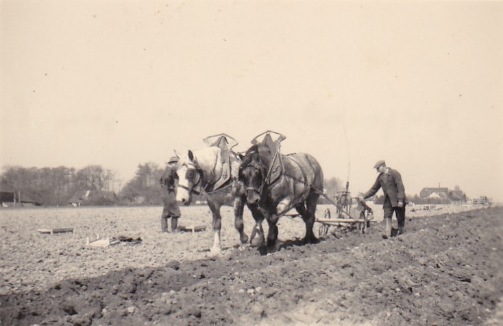 ANCIEN JOUET QUIRALU ATTELAGE CHEVAL CHARETTE AGRICOLE TOLE