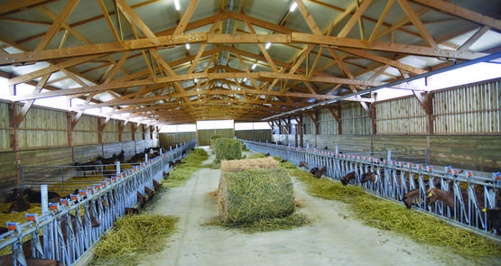 Le choix des matériaux lors d’une construction ou d’une rénovation de bâtiment agricole a son importance en termes de coût, de simplicité de mise en œuvre, mais aussi en fonction de ses caractéristiques propres... Zoom sur le bois. 