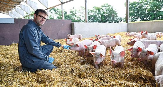 À La Bazoche-Gouet (Eure-et-Loir), Laurent Guglielmi est à la tête des Cochonnailles du Haut-Bois depuis 2005.