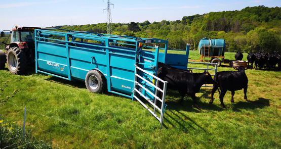 Plébiscité par les clients le surbaisseur simplifie le chargement. Il est désormais couplé à un système de suspension dynamique qui améliore le confort de conduite.