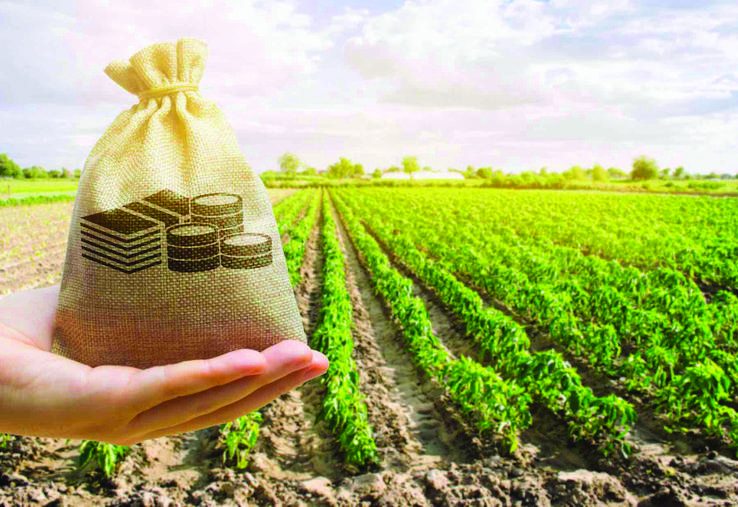  La production agricole en valeur se replierait de 1,5 % en 2023.