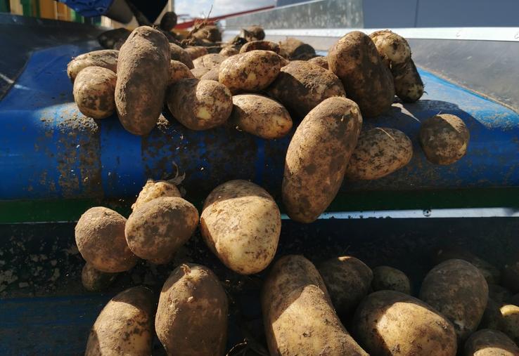 Pour 2030, il faudra produire 40 millions de tonnes supplémentaires en Europe.