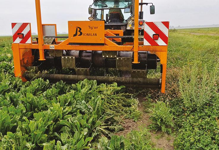 L’arracheuse Tig’air est composée d’un gros cylindre qui a pour but de rabattre les tiges des mauvaises herbes sur les rouleaux arracheurs.