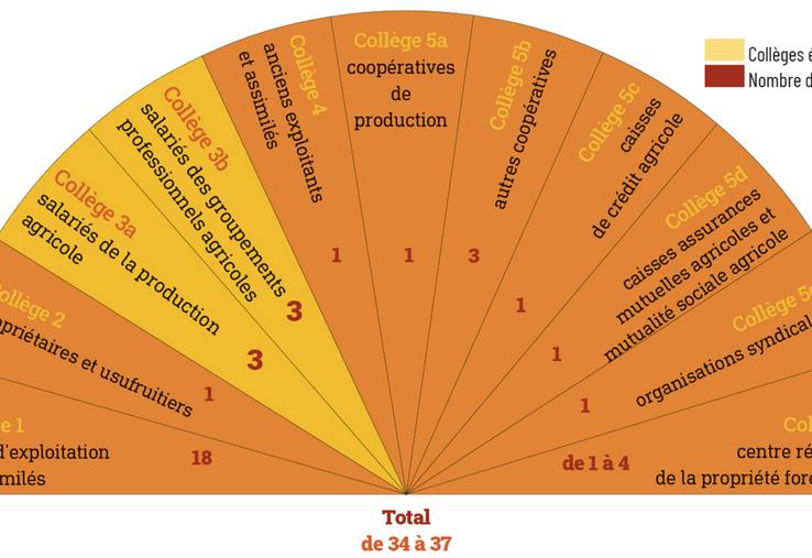 Répartition des différents collèges électoraux qui composent la session d'une Chambre départementale et territoriale.