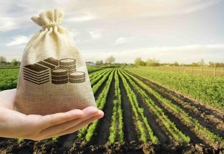 En 2020, parmi l'ensemble des ménages agricole, 16,2 % des personnes vivaient sous le seuil de pauvreté, un taux supérieur à la moyenne nationale.