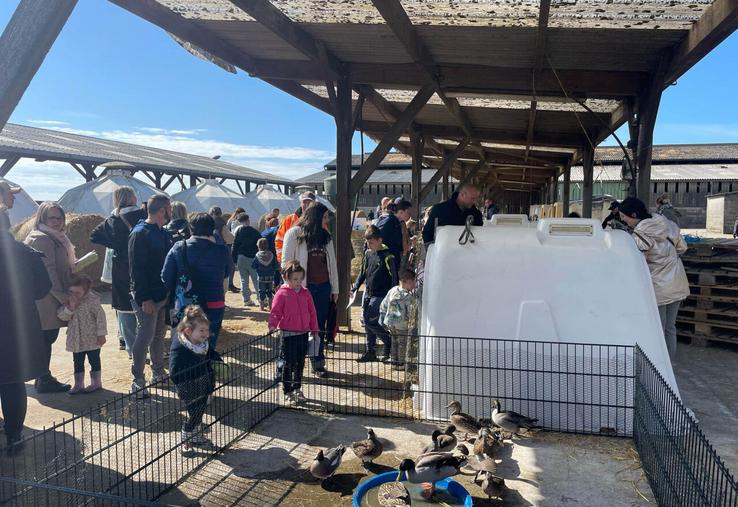 Ce 19 avril de nombreux visiteurs sont venus découvrir les animaux de la Ferme du chêne à Allouville-Bellefosse.