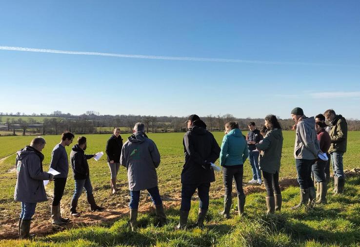 Mars 2025 : première visite de la parcelle qui accueillera l'expérimentation du système de culture polyculture élevage.