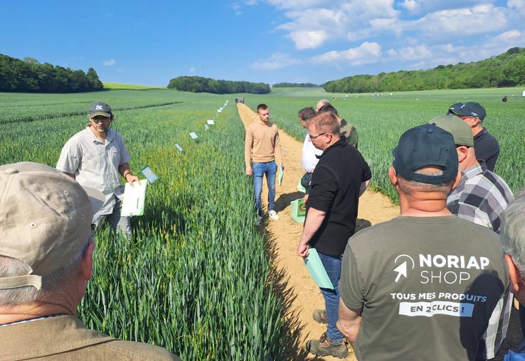 Le levier date de semis s'avère être aujourd'hui le plus puissant.