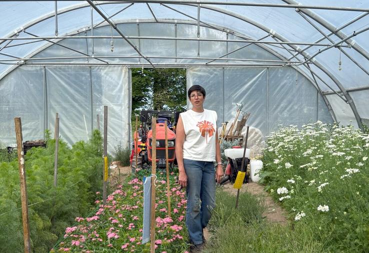Alice Boissonnet a créé la première ferme florale de Seine-Maritime en 2021 : Du vent dans les bottes produit aujourd'hui une centaine d'espèces florales à destination des fleuristes.