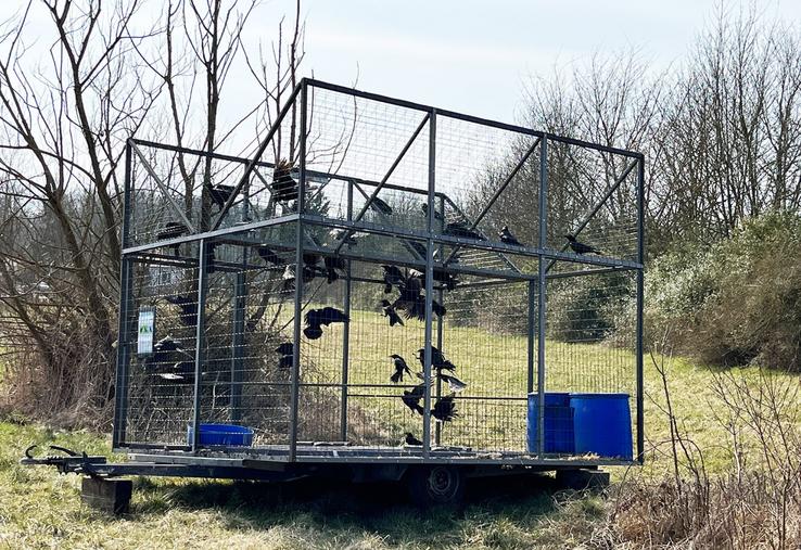 Alors que les associations écologistes multiplient les recours, le Conseil d'État ne valide les classements qu'avec des arguments solides. Les agriculteurs doivent donc déclarer sans faute.