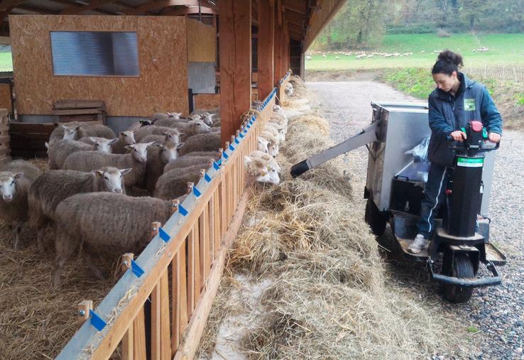 Les charges de mécanisation occupent une place de plus en plus importante dans le revenu des éleveurs ovins.
