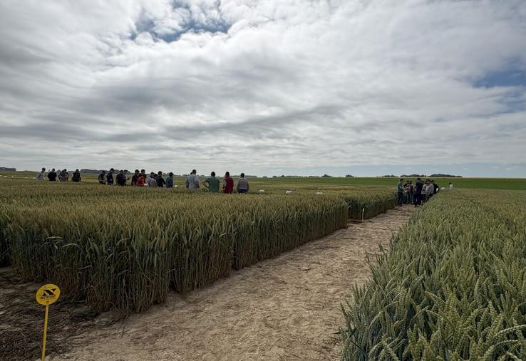 Interra Scan met en avant l'hétérogénéité des parcelles sous forme de cartes ultra-précises afin de moduler les intrants au plus près des besoins.
