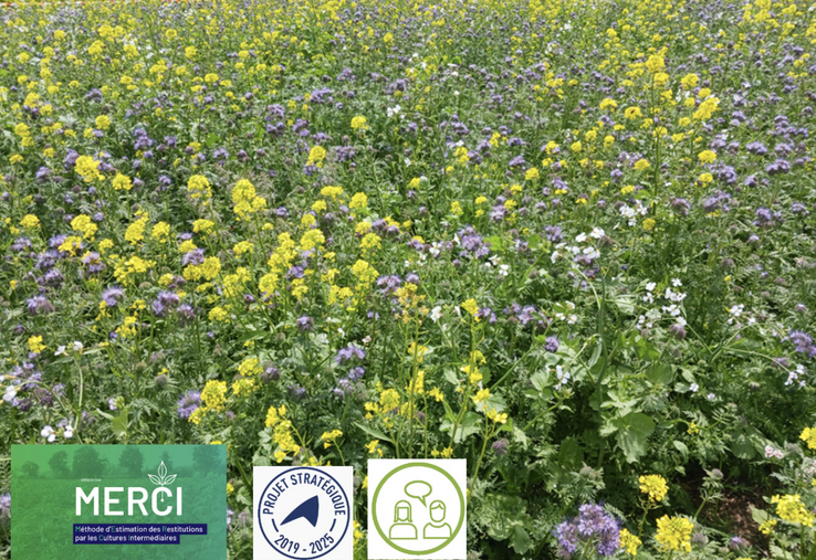 "Merci" est une méthode de terrain qui se veut facile d'utilisation et rapidement opérationnelle. Elle a été développée en 2010 par la Chambre d'agriculture régionale Nouvelle-Aquitaine et a été régulièrement améliorée avec de nombreux partenaires.