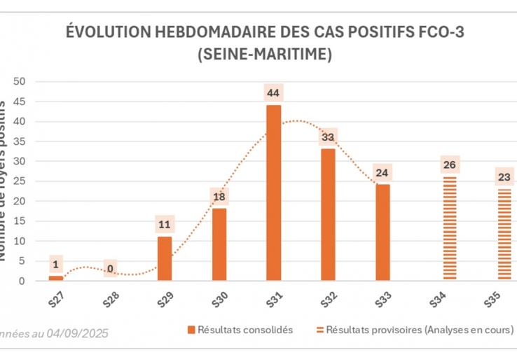 Cas positifs FCO répertoriés à la date de suspicion.