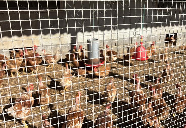 La vigilance doit être permanente toute l’année mais nous entrons dans la période à risque.