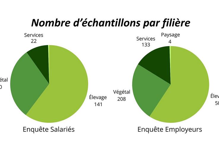 Nombre d’échantillons par filière.