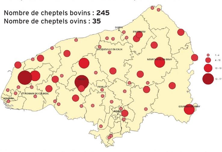 Répartition des 280 cas positifs de FCO-3 en Seine-Maritime.