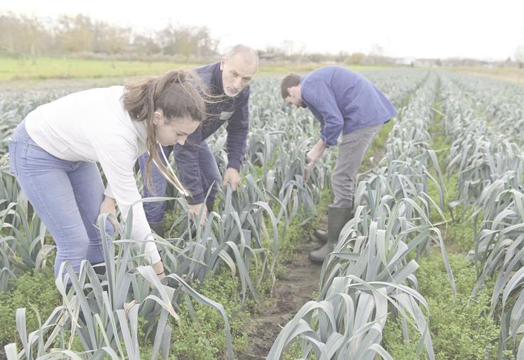 Ouvrir les portes de votre exploitation à un stagiaire ou un apprenti, c'est bien plus qu'un simple geste de transmission. C'est un véritable investissement pour l'avenir, aussi bien pour vous que pour le secteur agricole.