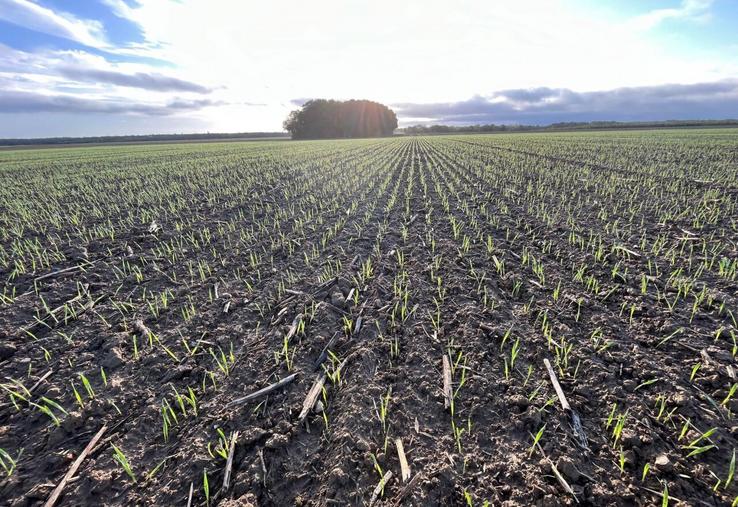 Jeunes agriculteurs souhaite rénover l'indice du fermage face au changement climatique en le territorialisant.