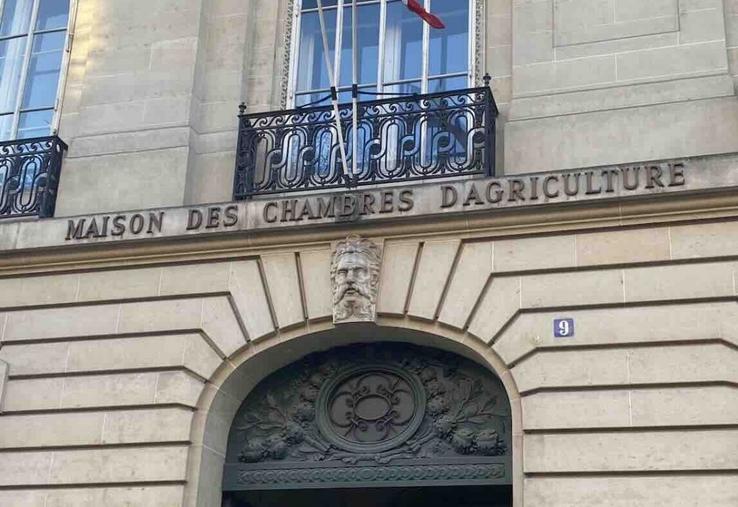 La Cour des comptes demande une régionalisation accélérée et une gouvernance plus rigoureuse des chambres d'agriculture.