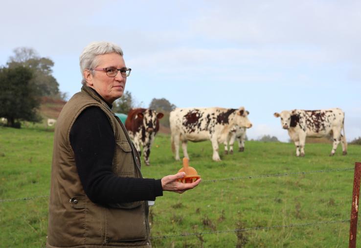 Dans le champ voisin de l'atelier paissent quelques vaches appartenant à Marie Legrain. "Évidemment des normandes", sourit-elle. Un clin d'œil à ses racines agricoles et à la passion qui l'anime toujours autant.