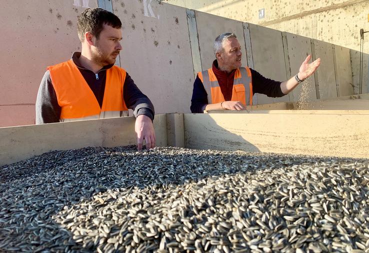 Tournesol strié, millet, sorgho et avoine noire sont cultivés puis traités chez SFP pour la filière oisellerie. Ici, Gabriel Henry, responsable activité de SFP. 
