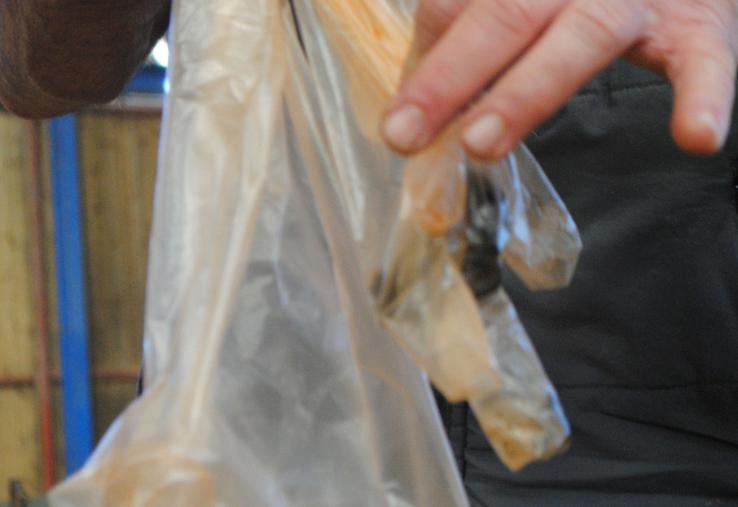 Les crottes des brebis sont toujours prélevées individuellement.