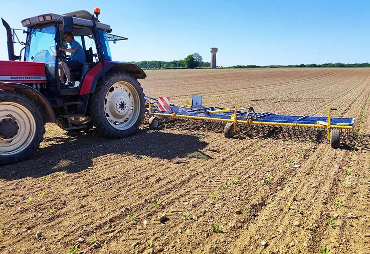 63 % d’efficacité pour la chimie seule, 82 % pour la modalité mixte, et 45 % pour la herse étrille en solo.