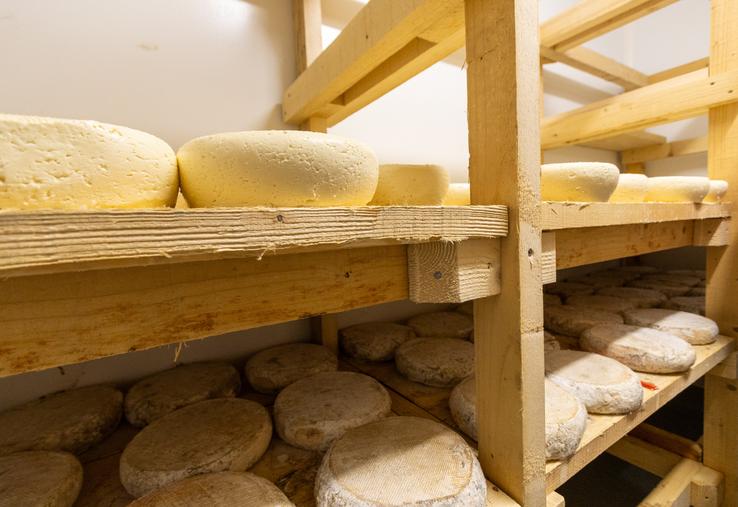 Une cave à fromages bien conçue tant sur le plan organisationnel que sanitaire.