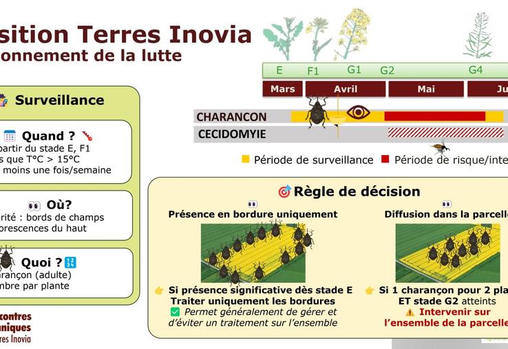 Avec une surveillance régulière, un traitement des bordures peut suffire.
