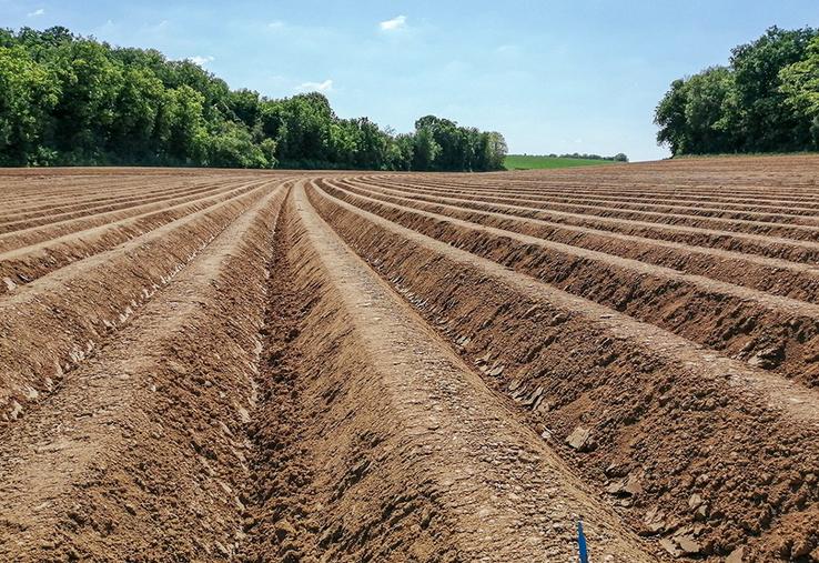 Une dose de 60 % d’azote apportée en localisé permet de dépasser le rendement à la dose 100 % en plein.