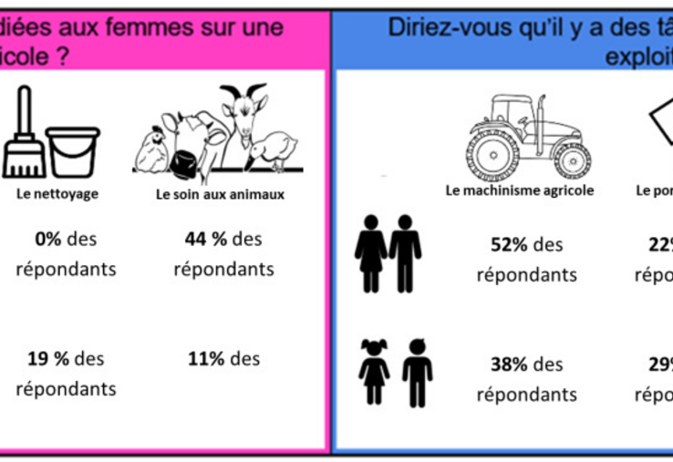 Répartition des tâches sur une exploitation par genre.