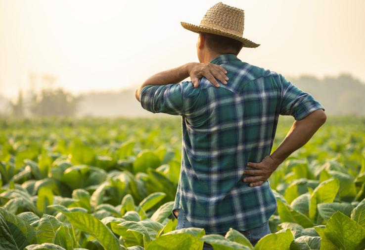 Les troubles musculo-squelettiques (TMS) constituent la première cause des maladies professionnelles reconnues en agriculture.