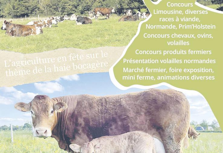 Affiche du Comice agricole 2026.