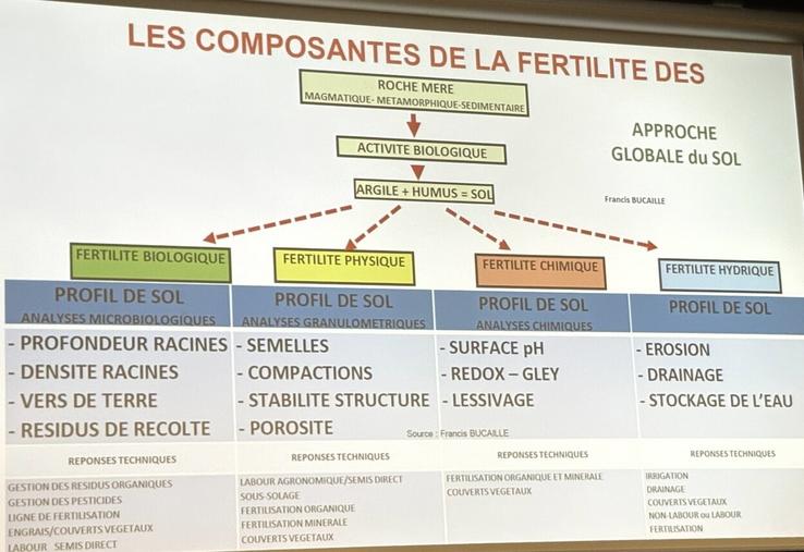 Les quatre niveaux de la fertilité du sol : biologique, chimique, physique et hydrique. L'un ne fonctionne pas sans l'autre, chacun ayant un impact sur les trois autres.