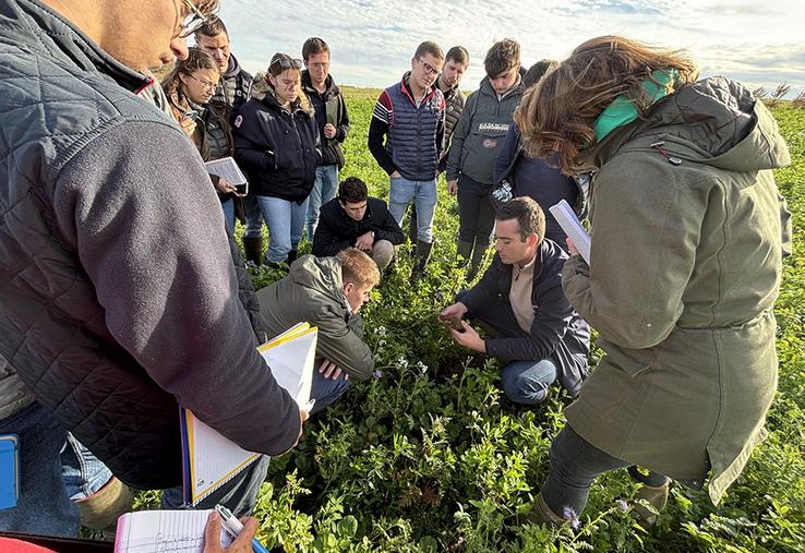 Le titre de TEA est de niveau 4. Il attribue la capacité agricole. Les apprenants deviendront ainsi des chefs d’exploitation, des techniciens de production agricole ou des chefs de culture.
