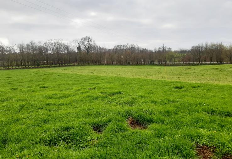 Différentiel de stock sur pied créé par le déprimage d'une parcelle.
