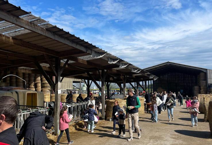 Chasse aux œufs organisée par les JA de Seine-Maritime (archive).
