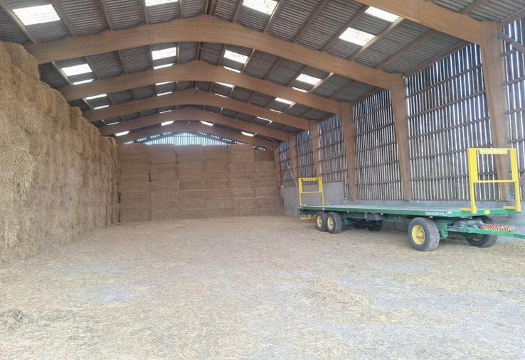 La paille manque en ce début de mois de mars dans les hangars.