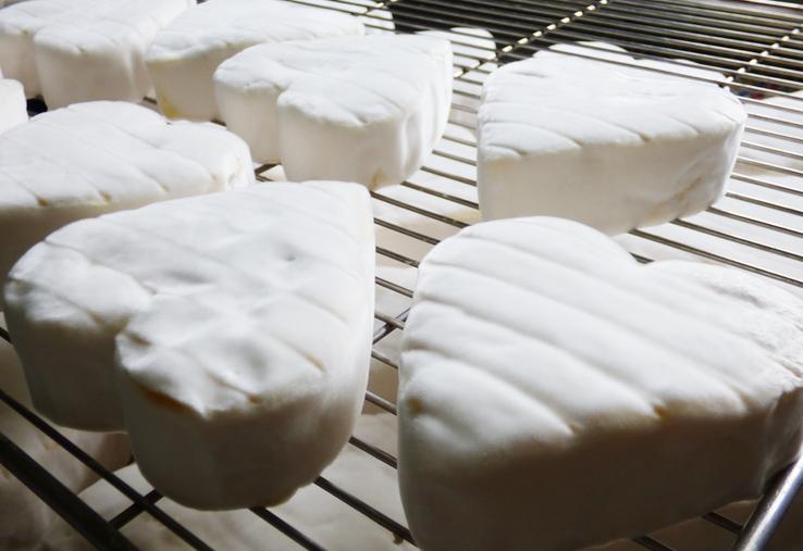 Les fromages au lait cru, premiers contributeurs du microbiote grâce à leur richesse microbienne.