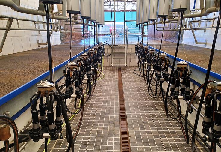 Une configuration raisonnée de la salle de traite est primordiale pour le confort du trayeur et pour celui de l’animal.