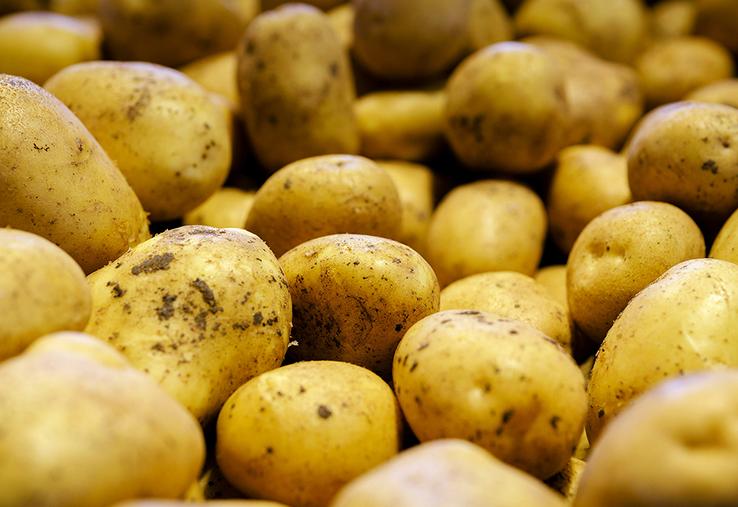 Pour le producteur, le nerf de la guerre est la signature d’un contrat qui le sécurise.