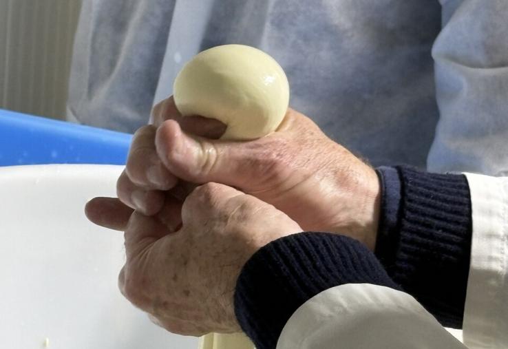 Le façonnage de la boule de mozzarella, un coup de main à prendre. Surtout pas de traces de doigts !