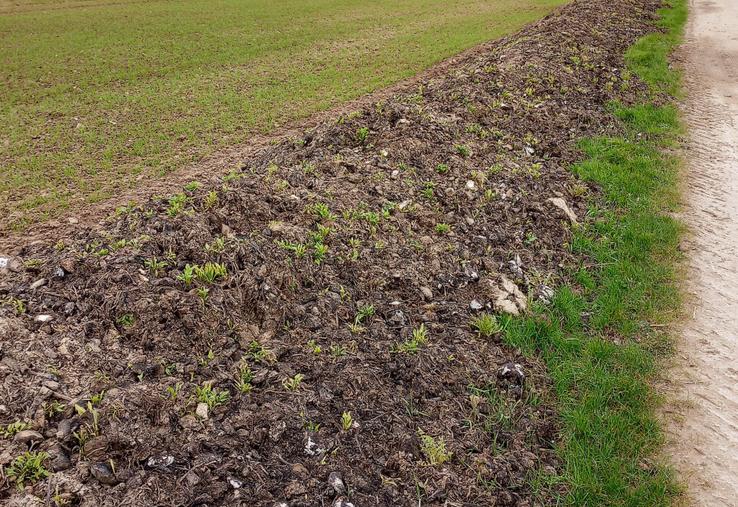 Déchets de déterrage.