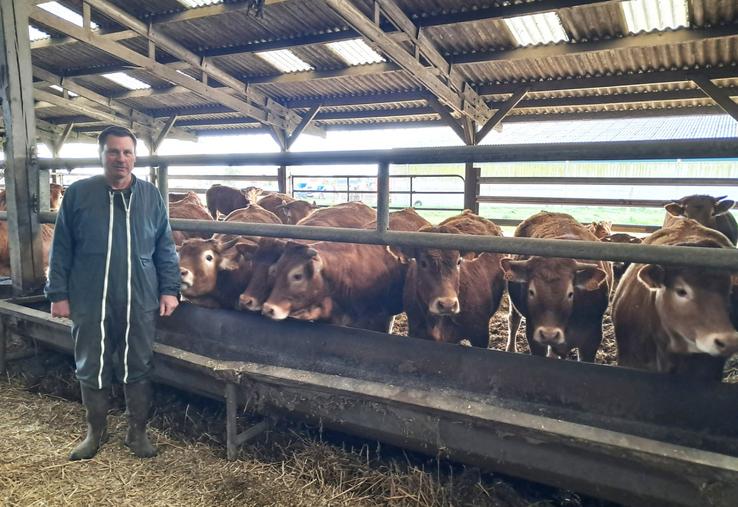 Fort d'une longue expérience professionnelle, Vincent Touzé est naisseur avec 80 vêlages d'hiver en race limousine et engraissement des femelles pour une valorisation en filière Label rouge.